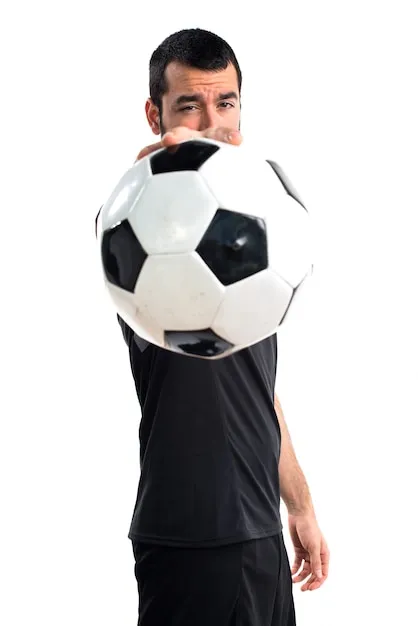 乐鱼体育 移动端展示