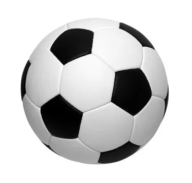 乐鱼体育 App 功能卡片